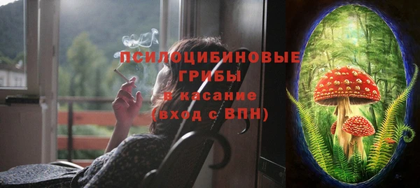 a pvp Горнозаводск