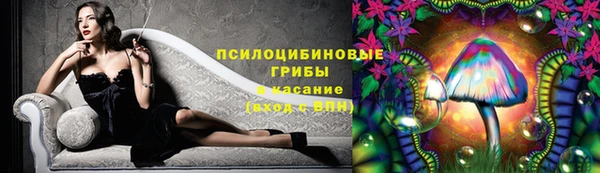 спиды Горняк