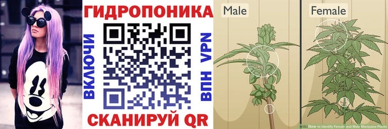 Канабис VHQ  Новая Ладога 